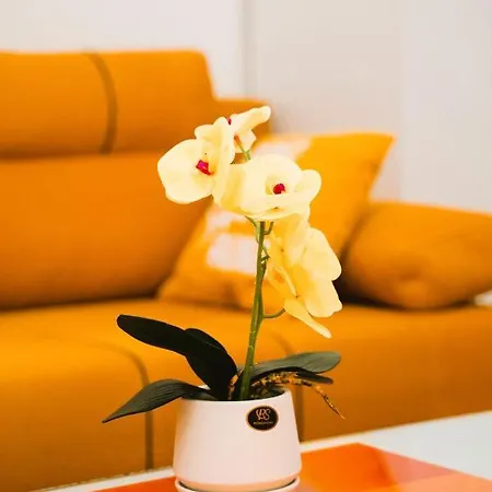 Golden Place Apartment Belgrad