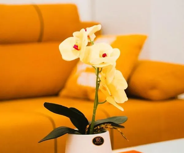 Golden Place شقة بلغراد